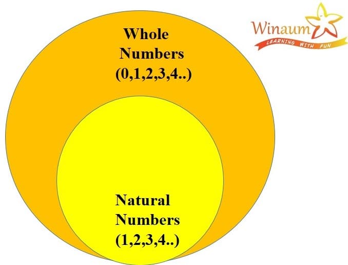 whole numbers and its properties chart